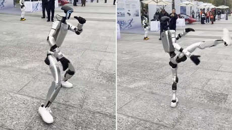 VIDEO: 'Bruce Lee' robóticos miden sus fuerzas en kung-fu