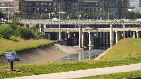 ¿Un asesino anda suelto?: macabros hallazgos en pantanos de una ciudad estadounidense desatan temores