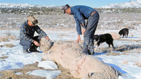 El día que EE.UU. probó armas químicas en su territorio y trató de ocultarlo