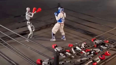 VIDEO: Se enfrenta a robots humanoides y acaba noqueado