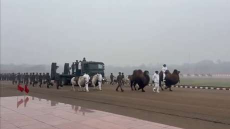 VIDEO: Camellos y águilas debutarán en un desfile militar en Nueva Delhi