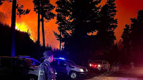 VIDEOS: Incendios forestales siguen fuera de control en el sur de Argentina