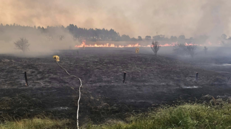 Virulentos incendios devoran el sureste de Australia (VIDEO)