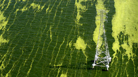 La oscura predicción sobre el "excremento del diablo" que se hizo realidad en la era Trump