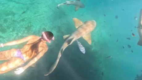 Momento aterrador: tiburón ataca a una mujer en aguas de Brasil (VIDEO)