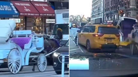 Carruaje a caballo se sale de control en las calles de Nueva York (VIDEO)