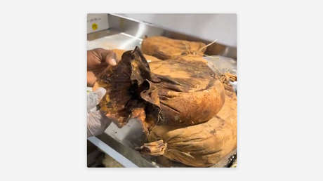 Abren un saco de dátiles que llevaba un siglo cerrado y ven esto (VIDEO)