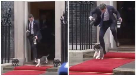 VIDEO: El gato Larry da bienvenida a la delegación polaca con una 'zancadilla'