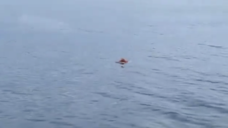 VIDEO: Rescatan a un pescador que pasó 17 horas a la deriva aferrado a la puerta de un refrigerador