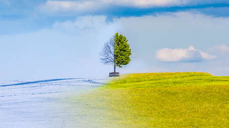 ¿Cálido o frío?: científicos dan su pronóstico sobre el tiempo que hará en 2026