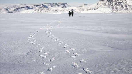 Bloomberg: Las ansias geopolíticas de EE.UU. por Groenlandia ponen en riesgo al Ártico
