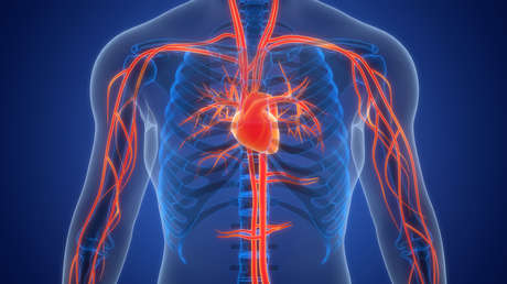 Científicos investigan un peligro para el corazón "desconocido hasta ahora"