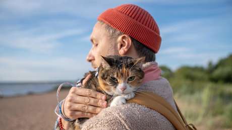 Prueban que el dolor por la muerte de una mascota puede ser tan fuerte como el de un familiar