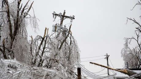 Árboles explosivos: el raro fenómeno que podría observarse en EE.UU. bajo la ola de frío