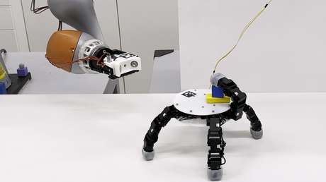 Como 'Dedos' de la Familia Addams: la mano robótica que puede moverse sola y agarrar cualquier objeto