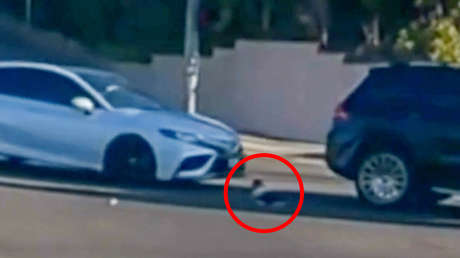 VIDEO: Bebé sale despedido de un coche en marcha y se salva de milagro