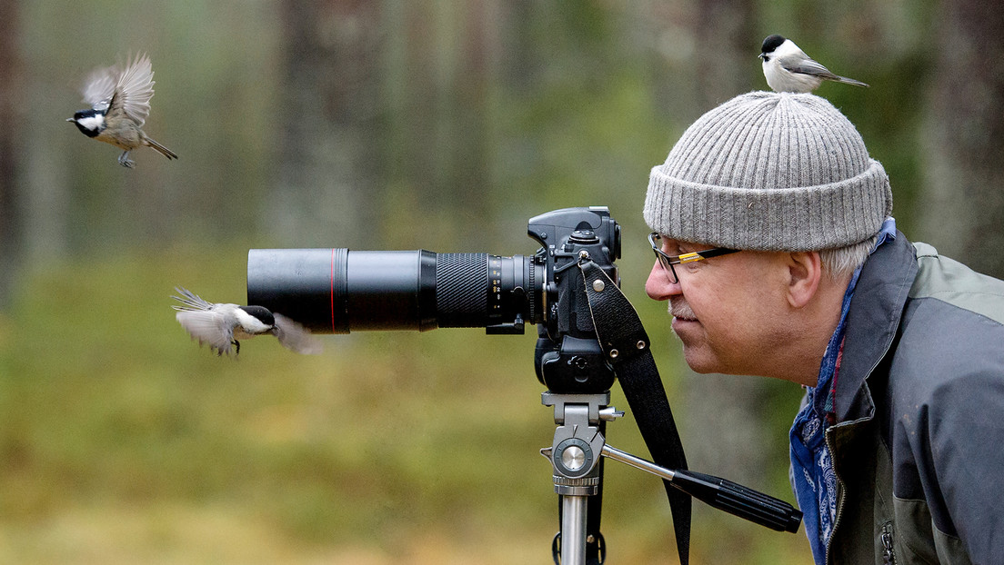 Estudio revela que observar aves podría ayudar a retrasar el envejecimiento cerebral