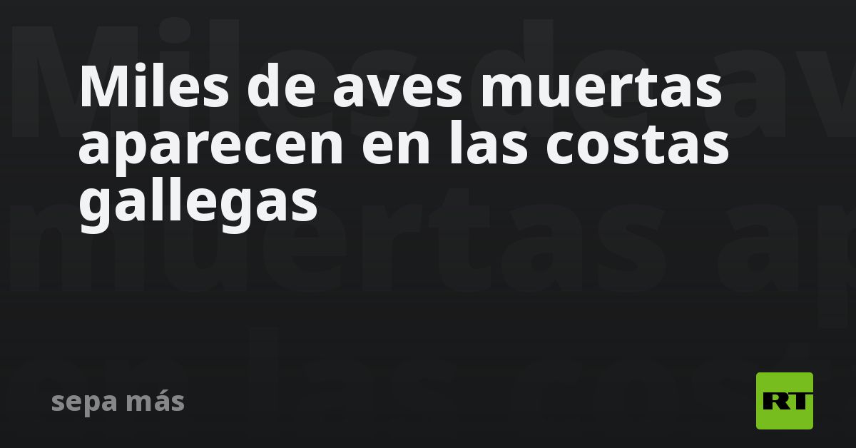 Miles de aves muertas aparecen en las costas gallegas