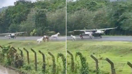 VIDEO: Avioneta casi choca con tres caballos