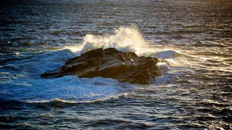 "Sobrehumano": niño nada kilómetros contra aguas turbulentas para salvar a su familia