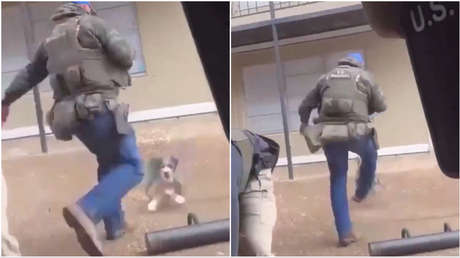FUERTE VIDEO: Un alguacil de EE.UU. patea a un perro y le rompe una costilla