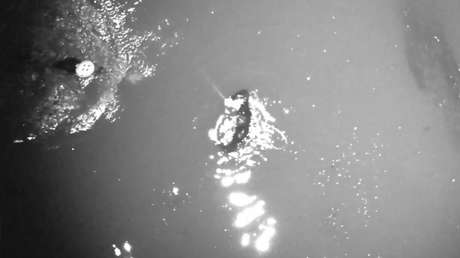 Surfeando a la muerte: sobrevive de milagro tras ser arrastrado a alta mar (VIDEO)