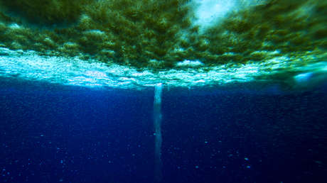 ¿Qué es 'el helado dedo de la muerte' en las aguas de la Antártida y el Ártico?