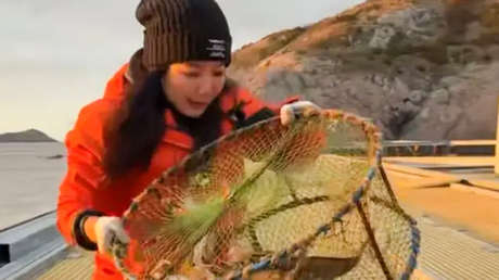 "¿Es esta la vida que quieres?": mujer china abandona su alto cargo y busca paz interior en una isla deshabitada