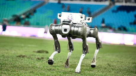 'Perros' robots harán labores de seguridad en México durante el Mundial de Fútbol 2026 (VIDEO)