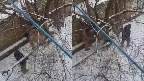 Una insólita fuga de la movilización forzosa: un ucraniano se refugia en las ramas (VIDEO)