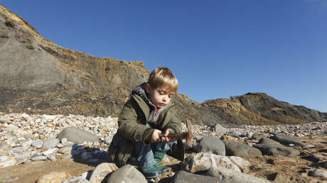 Niño que exploraba rocas junto a sus abuelos encuentra un fósil de 48 millones de años