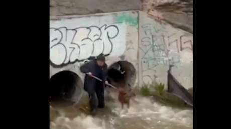 VIDEO: Dramático rescate bajo la lluvia de un perro atrapado en un desagüe