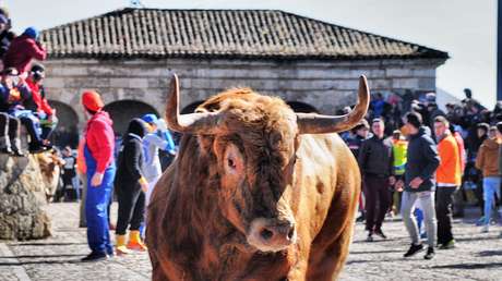 Muere tras recibir una cornada en el corazón durante fiesta de carnaval