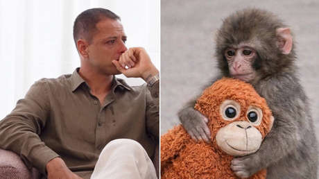 Estrella del fútbol mexicano rompe en llanto por el mono viral rechazado por su madre