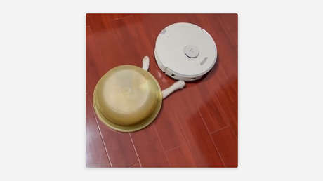 VIDEO: Una batalla desigual entre una aspiradora robótica  y un 'impostor'