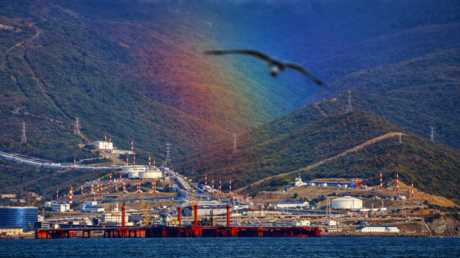 Enviado de Putin: "Las sanciones occidentales han resultado perjudiciales para la economía mundial"