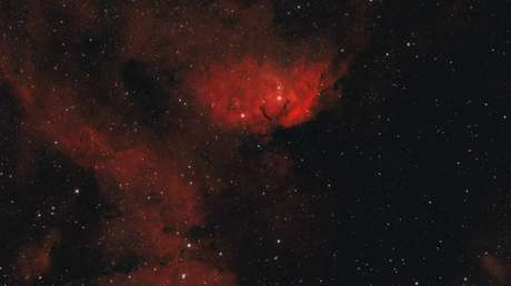 FOTOS: Roscosmos muestra 'flores' espaciales la víspera del Día Internacional de la Mujer