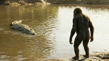 Este cocodrilo con un extraño bulto en la cabeza cazaba ancestros humanos