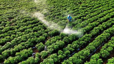 FT: La agresión a Irán amenaza con una crisis alimentaria mundial