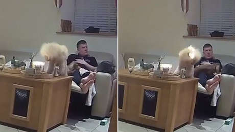 VIDEO: Perro se prende fuego con una vela días antes de asistir a una exposición