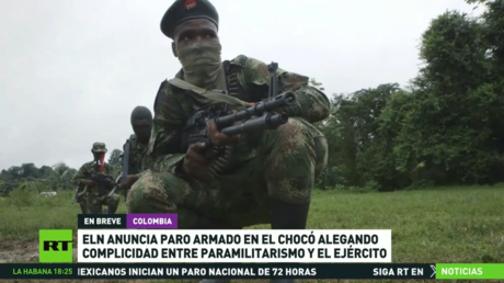 ELN anuncia paro armado en el Chocó alegando complicidad entre paramilitarismo y el Ejército