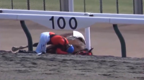 'Siempre fiel': Un jinete y su caballo protagonizan un momento conmovedor en plena pista (VIDEO)