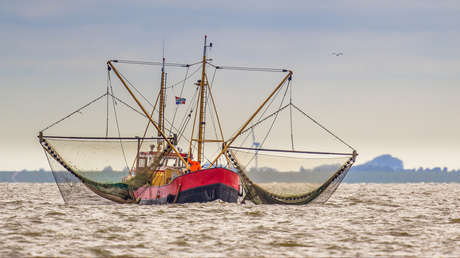 Hasta las aguas de Europa: el impacto de la guerra en Oriente Medio alcanza al sector pesquero de Países Bajos