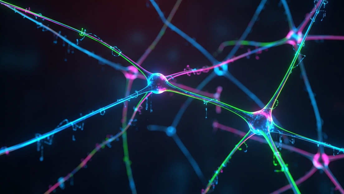 Una muestra de sangre, múltiples diagnósticos: la innovación que podría revolucionar la medicina