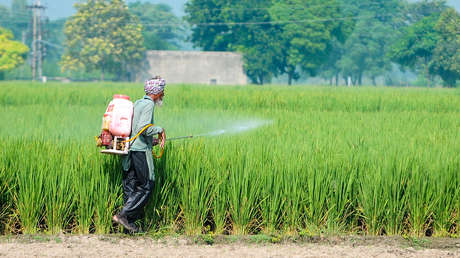 Gigante asiático busca con urgencia un fertilizante clave en el exterior ante la guerra en Oriente Medio