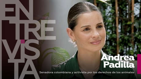 Proteger a los animales "es un termómetro de la salud mental y emocional de una sociedad"