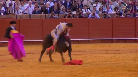 FUERTE VIDEO: un torero sufre una grave cornada en plena corrida en España