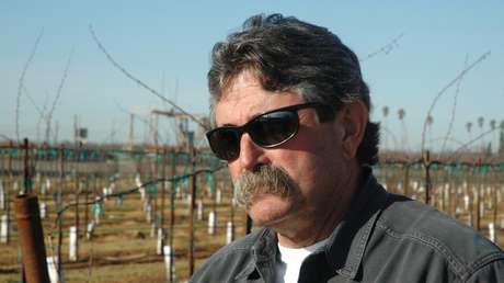 Cazador millonario muere pisoteado por una manada de elefantes