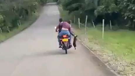 VIDEO: El desgarrador momento en que un perrito corre sin parar tras la moto que lo abandonó