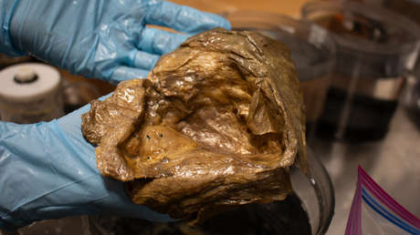 Desentrañan el origen del misterioso 'orbe dorado' aparecido a más de 3.000 metros de profundidad